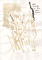 abstraction-with-text-775-2010
